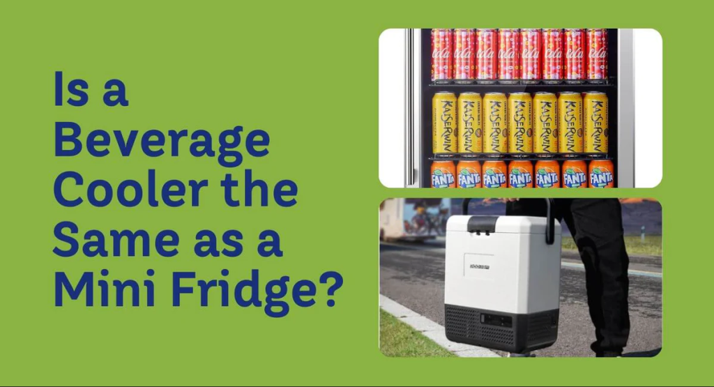 Back Bar Cooler vs. Regular Mini Fridge